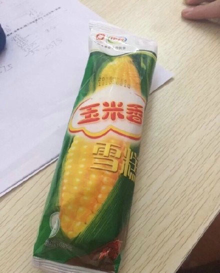 村子修路发现恐龙化石,老人挖出恐龙蛋化石