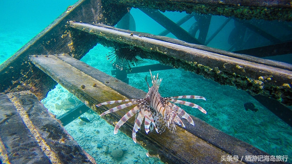 马来西亚仙本那最海岛海景,马来西亚仙本那海岛推荐