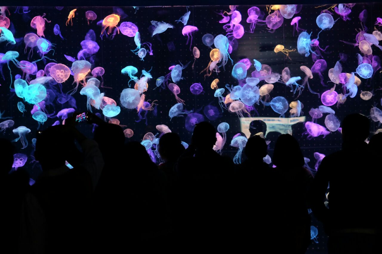 广东珠海著名的旅游景点,珠海十大最值得去的景点