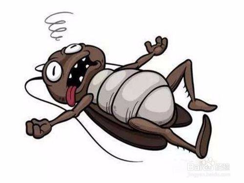 电饭煲内部多了很多蟑螂怎么办,电饭煲底有蟑螂怎么办