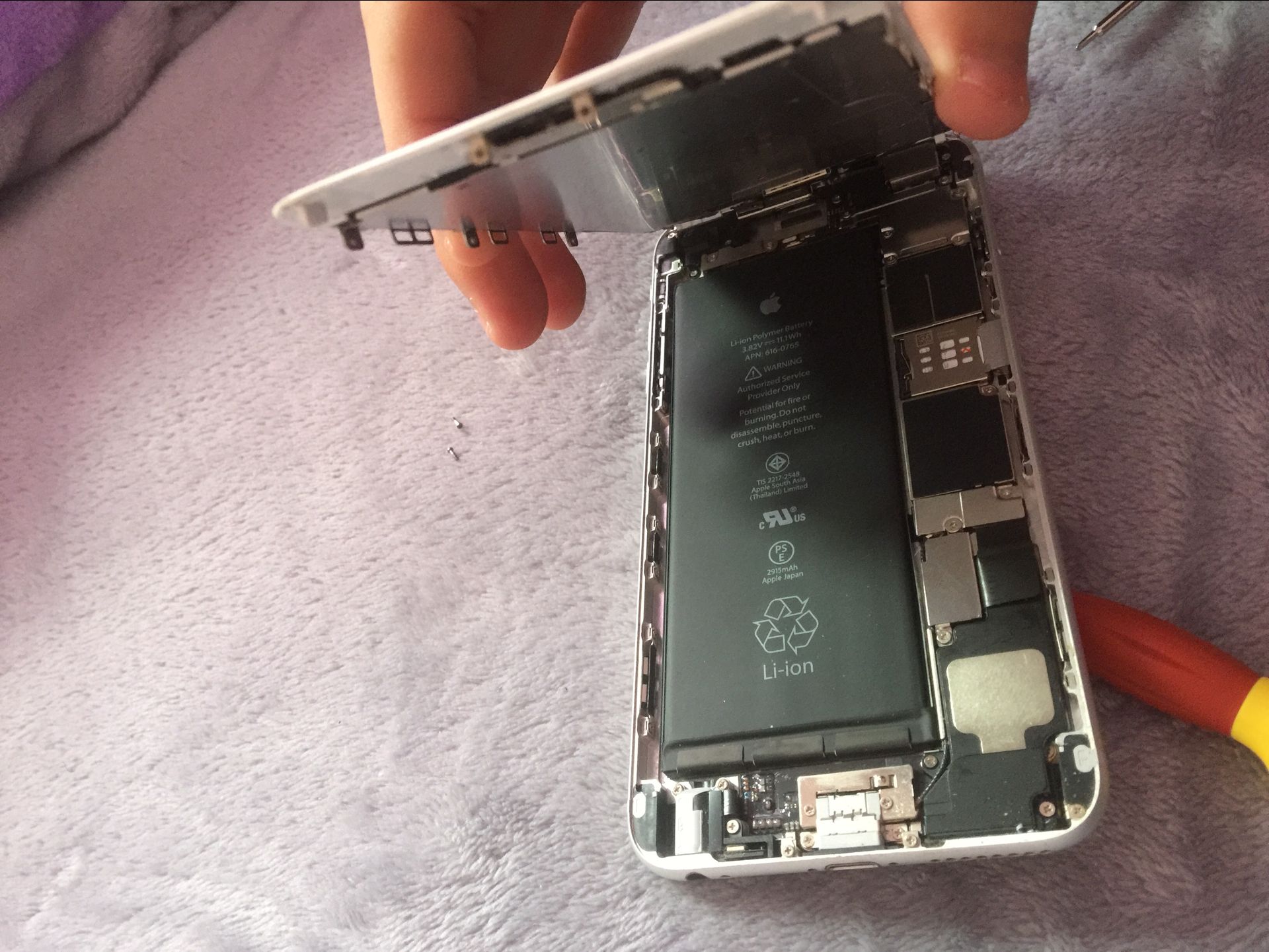 iphone6sp换电池和屏幕,iphone6换后置摄像头多少钱