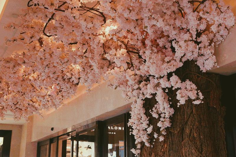 男朋友追你的时候都有哪些骚操作,男朋友追我时的聊天技巧