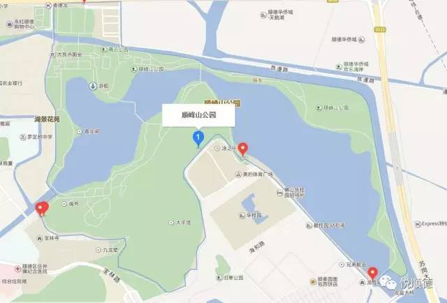 佛山哪里可以看黄花风铃木,佛山三水黄花风铃木最新视频