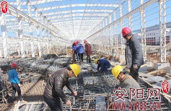 凤宝管业锅炉工,凤宝管业董事长