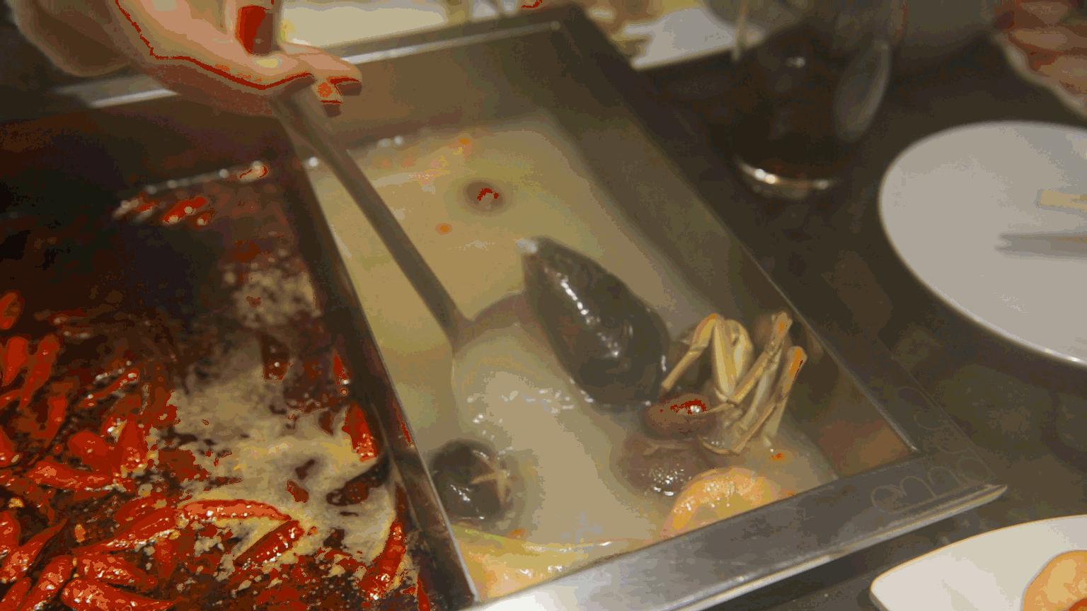 网红豪华坐骑皮皮虾,失踪后再现魔都竟然是在这里,带走它唯一的方法就是……