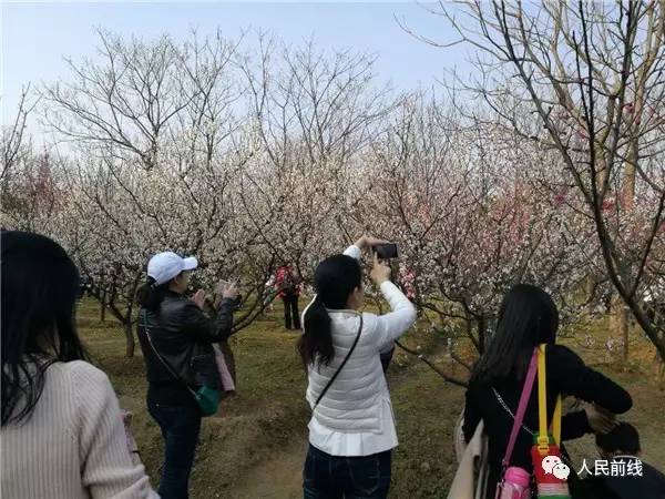 如果没有在军营，这些美你也许永远不会看到