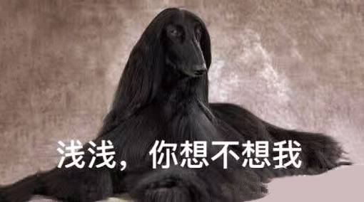 你确定你的《三生三世十里桃花》没白看?!