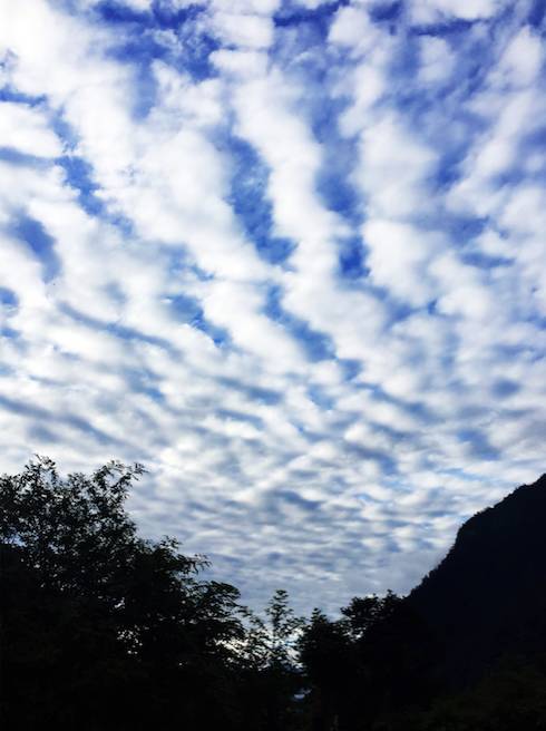 不被蚂蟥咬一次，怎能算走过墨脱｜徒步墨脱大结局