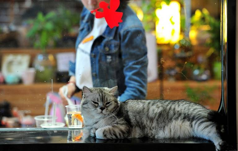 南京春天适合孩子玩的地方,南京情侣适合玩的地方旅游攻略