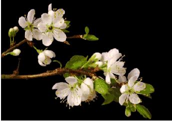 英超意甲派系斗争一触即发，曼城尤文国米暗藏冷门让你惊蛰？