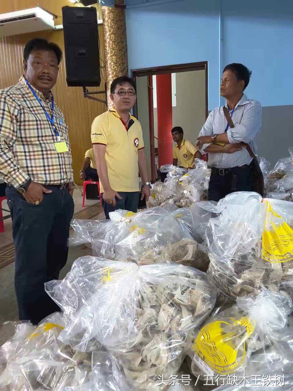 泰国燕窝什么工艺,泰国燕窝知识