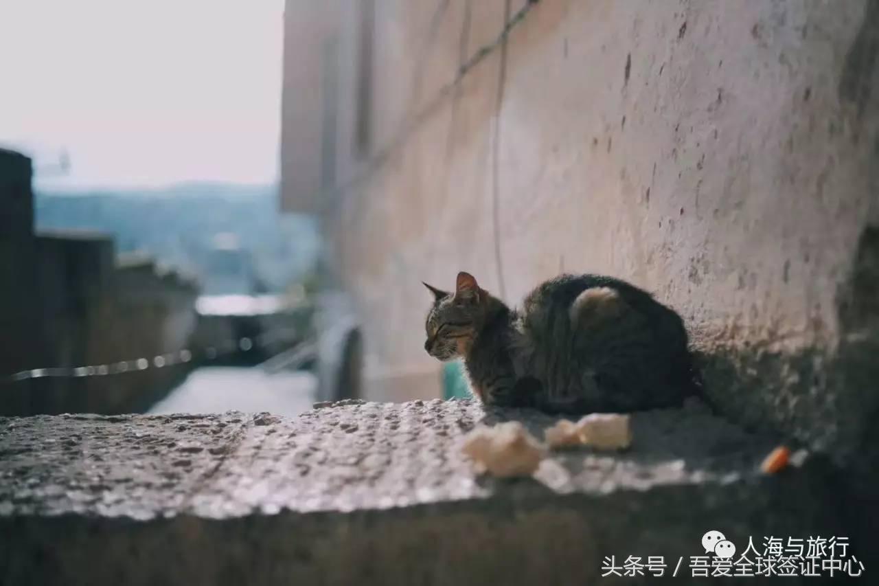 摩洛哥自由行全攻略 (最全的摩洛哥攻略)