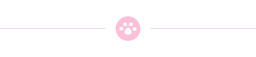 种草好物背包推荐,双肩包推荐小众高级感平价