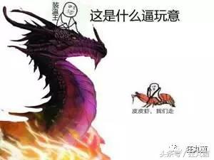 微信朋友圈封面全面展示,微信朋友圈封面图动态教程