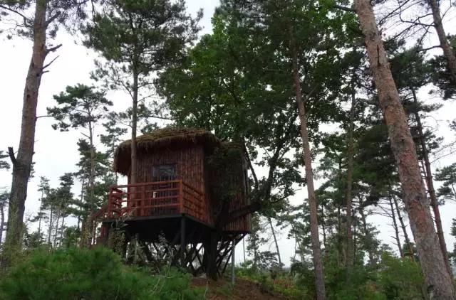 辽源最近有什么大新闻,辽源市最新严查