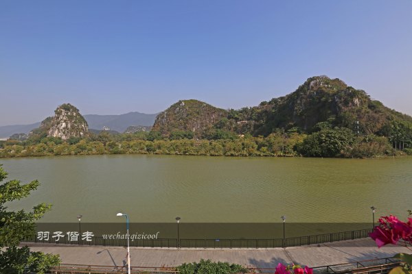 居于涟岸隐于湖，到肇庆体验离尘不离城的精致慢生活