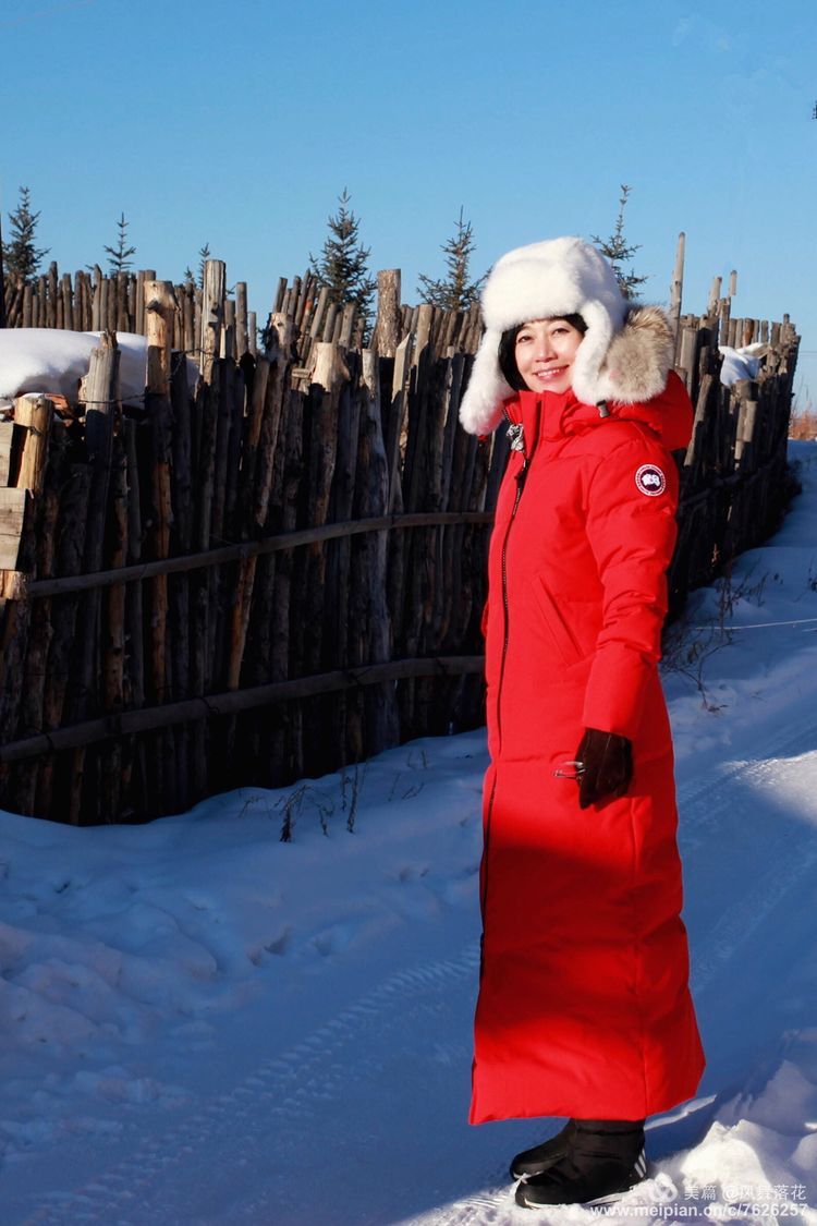 白狐千年等待只为今生相遇,白狼一生只爱一人