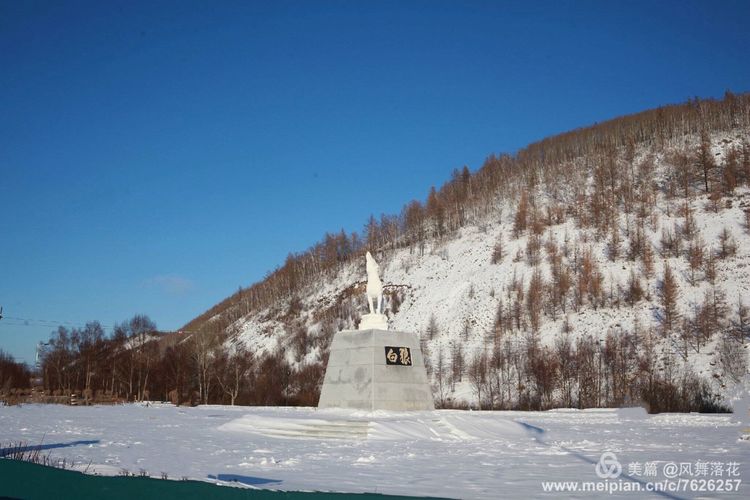 白狐千年等待只为今生相遇,白狼一生只爱一人