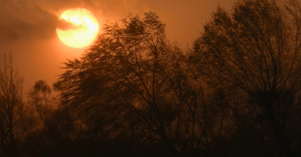 追不到的玄奘灵魂:下一步路何去何从