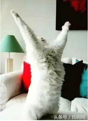 钢材销售员的一天，简直太形象了！笑喷……