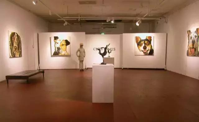 澳洲旅游攻略必带物品清单,澳洲旅游攻略需要花费多少钱