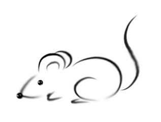 属鼠人命中的财运,1972年属鼠人哪个年龄段发大财