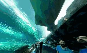 逛老街、扔斧头、高空行走!这样的多伦多,你爱吗?