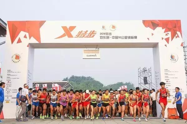 光猪跑的视频,光猪跑北京