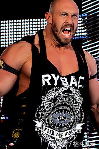 wwe布洛克莱斯纳vs送葬者2015,盘点wwe布洛克·莱斯纳的十大对手