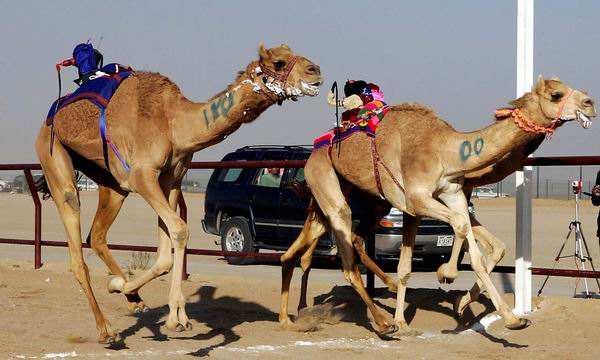 30年内，鞋将比人聪明！阿里巴巴最大股东是这么说的！