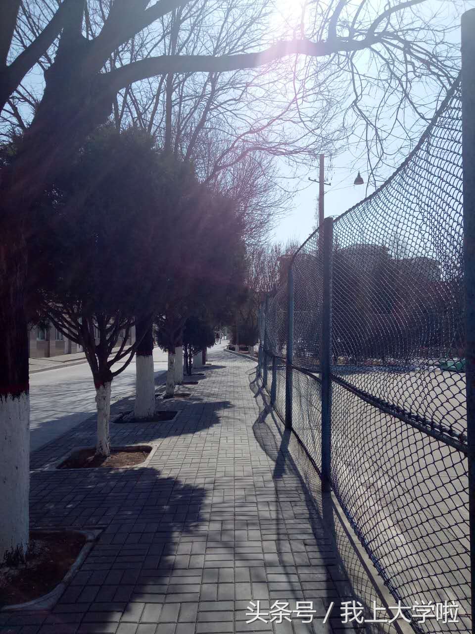 延安大学清晨,延安大学早晨