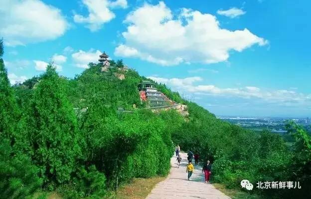 北京植物园踏青赏花,踏青赏花北京