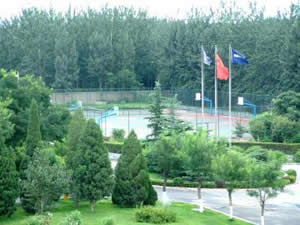 3-6岁幼儿数学20以内加减法,成语的加减乘除法巧记忆