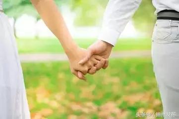 锦城最新消息,锦城消息