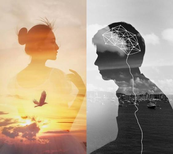 用oppo手机专业拍照技术,oppo手机拍照功能详细解析