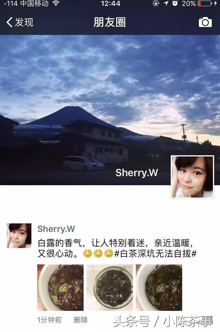 15年白露茶散茶,2019年的白露茶