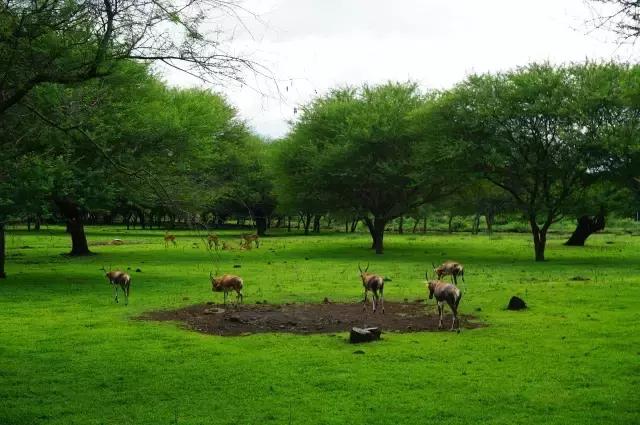 毛里求斯，拿水壶换保时捷的天堂