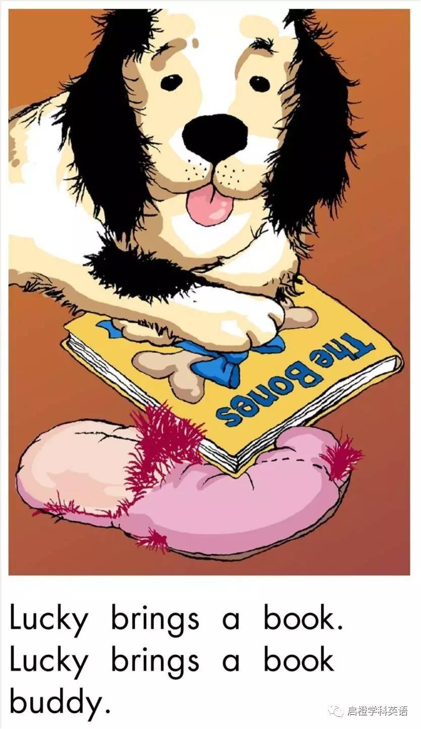 多维阅读绘本5级美篇,分级阅读myroom