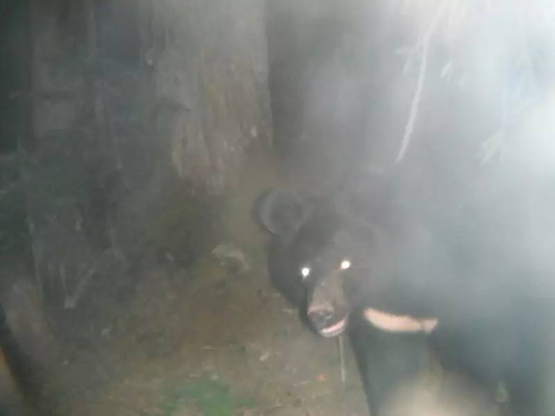 森林之眼好玩吗,森林之眼在景区哪个位置