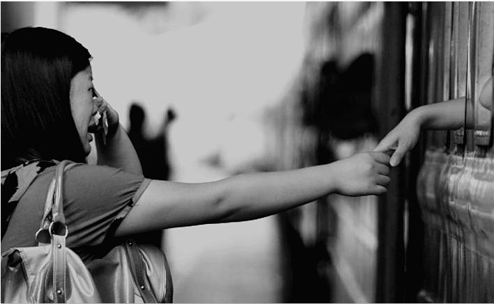 我的每一个旧细胞在走之前都会告诉我的新细胞我爱她