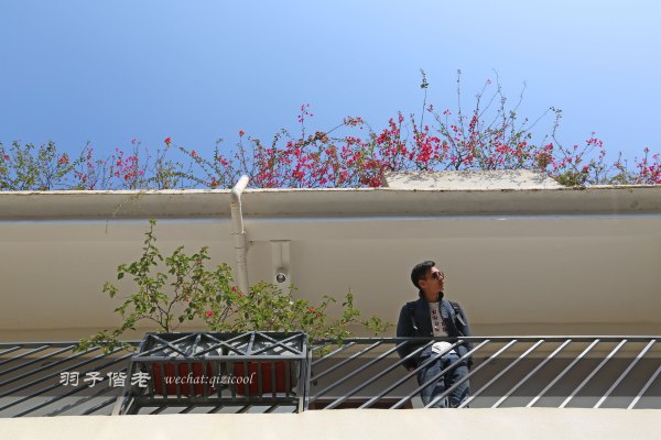 居于涟岸隐于湖，到肇庆体验离尘不离城的精致慢生活