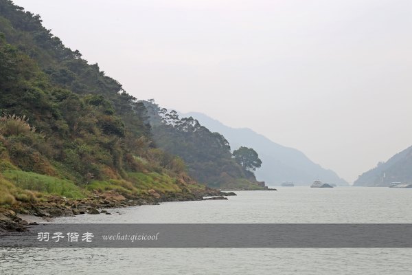 居于涟岸隐于湖，到肇庆体验离尘不离城的精致慢生活