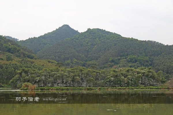 居于涟岸隐于湖，到肇庆体验离尘不离城的精致慢生活