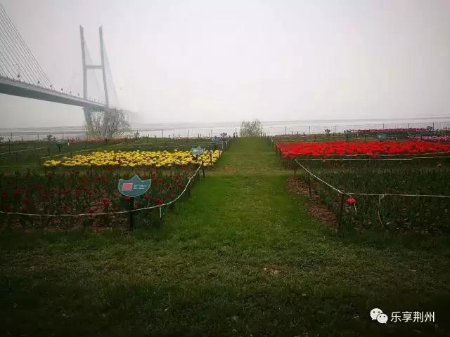 滨江公园和森林公园哪个大 (临江仙公园和滨江公园)