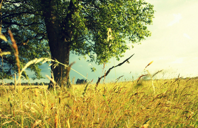 论文参考文献格式怎么对齐,论文文献引录怎么写