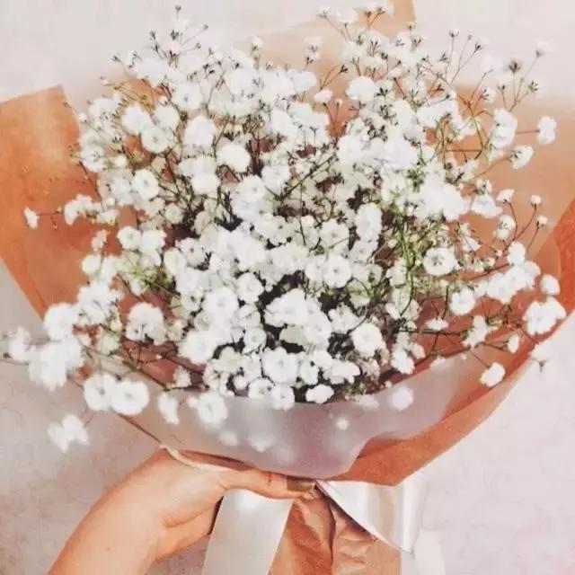 为什么女人像鸡蛋男人像芒果,女人像木头一样对男人会有影响吗