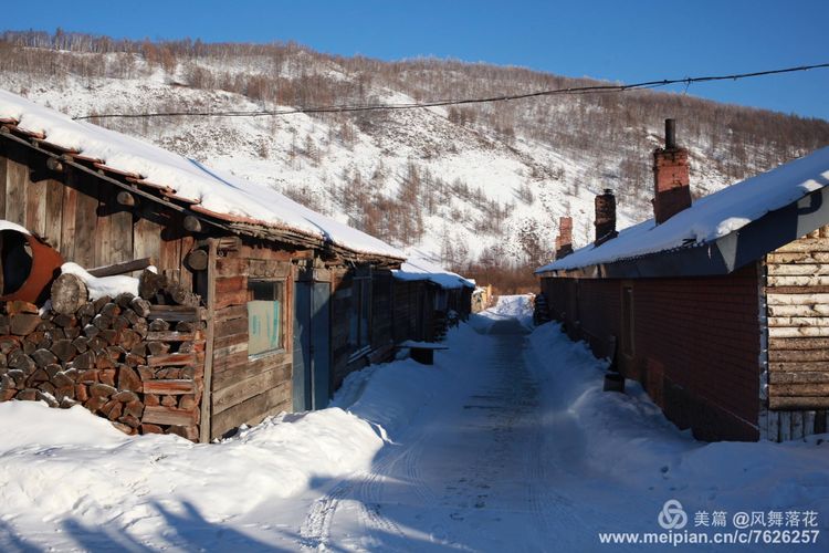 白狐千年等待只为今生相遇,白狼一生只爱一人