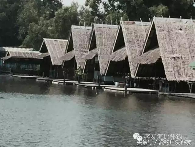 泰国巨骨舌鱼钓场位置,泰国钓鱼钓巨物位置