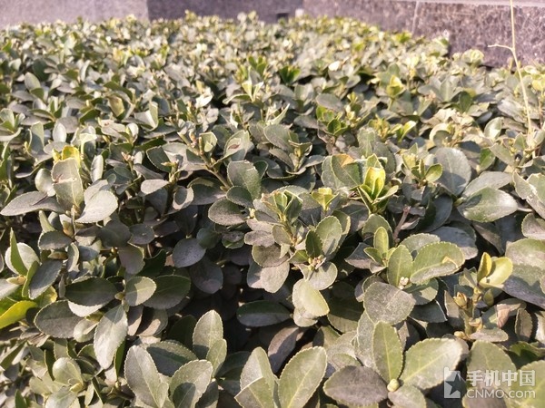 htcuultra评测参数,htcuultra测评