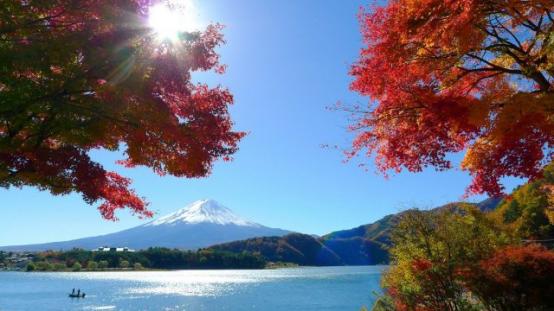日本最火的酵素,日本最火的酵素来袭